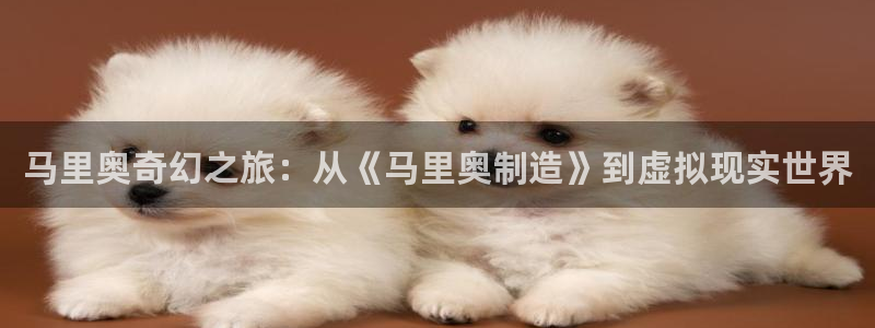 下载彩神通关注码:马里奥奇幻之旅:从《马里奥制造》到虚拟现实 下载彩神通关注码:马里奥奇幻之旅:从《马里奥制造》到虚拟现实